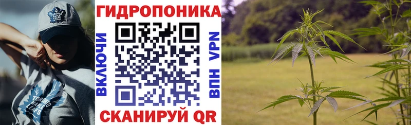 Конопля White Widow  где купить   Фатеж 